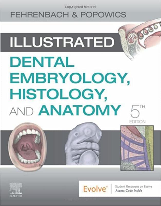 9780323611077 Illustrated Dental Embryology, Histology, And Anatomy